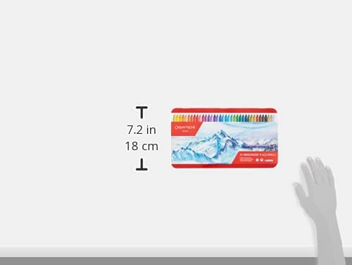 Caran d'Ache Classic Neocolor II Water-Soluble Pastels, 84 Colors (Packaging may vary)