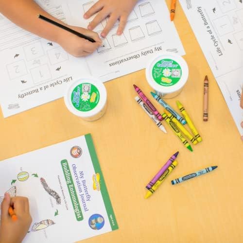 Insect Lore Butterfly Garden with Two Cups of Live Caterpillars | Original Habitat, STEM Journal, Chrysalis Holding Logs, 10 Live Baby Caterpillars | Painted Lady Butterflies | Life Science Education