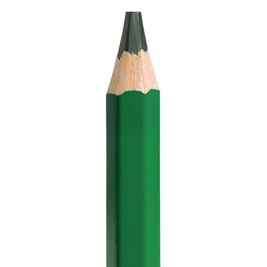 Colorations® Jumbo Colored Pencils, Larger and Hexangonal Shaped for easy gripping, Set of 120 Pencils, 12 Colors, Kids Coloring Pencils, Sustainably Harvested Wood, Home or School Supplies