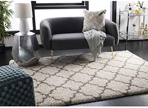 SAFAVIEH Hudson Shag Collection Area Rug - 6' x 9', Ivory & Grey, Moroccan Trellis Design, Non-Shedding & Easy Care, 2-inch Thick Ideal for High Traffic Areas in Living Room, Bedroom (SGH282A)