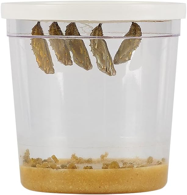 Insect Lore Butterfly Garden Kit, Painted Lady Butterfly Kit with Voucher for Live Caterpillars, Butterfly Habitat, STEM Journal & More