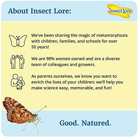 Insect Lore Two Cups of Live Caterpillars with Butterfly Life Cycle Figurines | Butterfly Habitat or Kit Refill | Painted Lady Butterflies