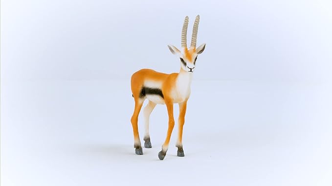 Schleich Wild Life New 2023, Wild Animal Safari Toys for Boys and Girls, Thomson Gazelle Toy Figurine, Ages 3+