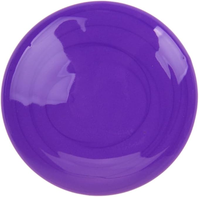 Crayola Washable Paint For Kids, Violet 1 Gallon, Kids Arts And Crafts Supplies, Non Toxic, Bulk