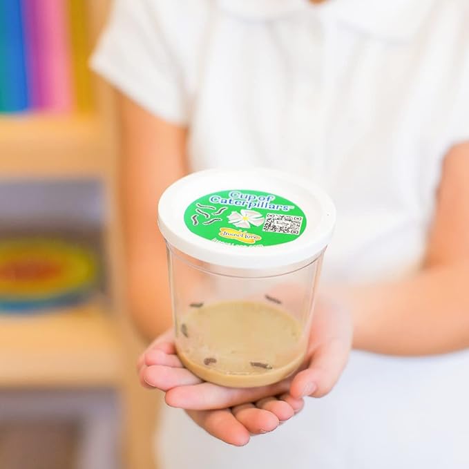 Insect Lore Butterfly Garden - 8" Habitat | 1 Cup of Live Baby Caterpillars | Life Cycle Figurines, Stickers, Wind up, Mini Habitat | Birthday or Teacher Gift Set