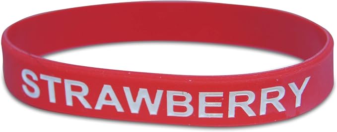 Novel Merk Strawberry Red Fruit 12-Piece Party Favor & Carnival Prize Rubber Band Wristband Bracelet Accessory