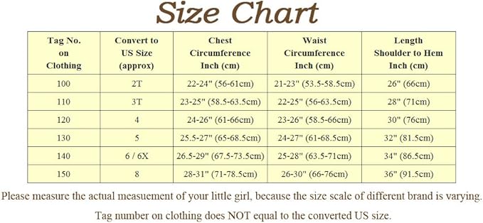 Dressy Daisy Toddler Little Girls' Ice Princess Dress Costume Birthday Halloween Christmas Fancy Party Dresses