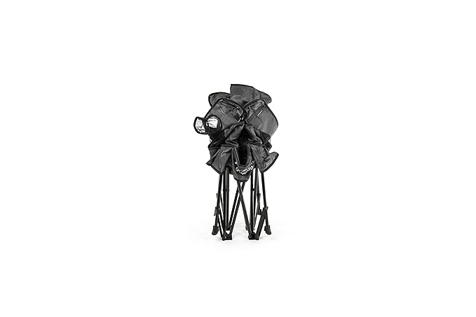 Baby Delight Go with Me Venture Portable Chair | Indoor and Outdoor | Sun Canopy | 3 Child Growth Stages | Carbon Camo