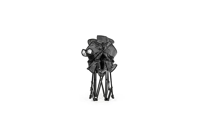 Baby Delight Go with Me Venture Portable Chair | Indoor and Outdoor | Sun Canopy | 3 Child Growth Stages | Carbon Camo