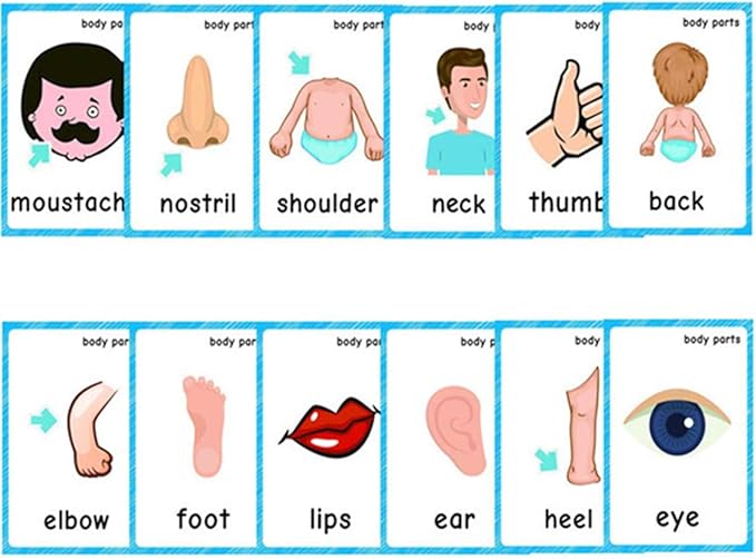 Set of(Body Parts+Illness) Flash Cards for Toddlers | Kids Learning Montessori Pocket Cards Toys | Perfect for Pre-K Decorations Background Wall Stickers,Teacher/Autism Therapists Tools