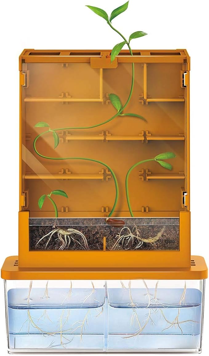 4M Green Science Grow A Maze Kit, Build A Plant Maze Science Kit, For Boys & Girls Ages 5+ , 5 x 4 nches