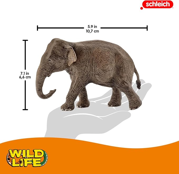 Schleich Wild Life, Animal Figurine, Animal Toys for Boys and Girls 3-8 years old, Female Elephant, Ages 3+, Multicolor, 3.6 inch
