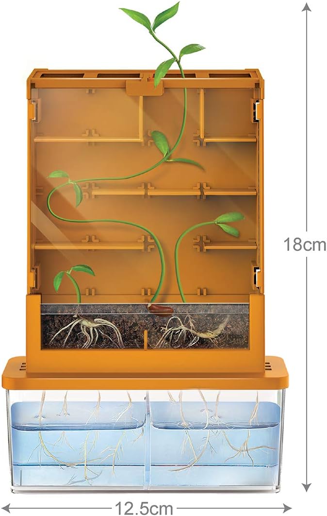 4M Green Science Grow A Maze Kit, Build A Plant Maze Science Kit, For Boys & Girls Ages 5+ , 5 x 4 nches