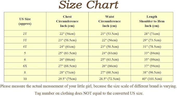 Dressy Daisy Toddler Little Girls' Ice Princess Dress Costume Birthday Halloween Christmas Fancy Party Dresses