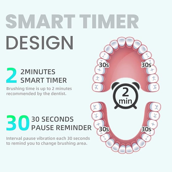 7AM2M Electric Toothbrush for Adults, Sonic Toothbrush with 8 DuPont Brush Heads, Travel Case, Rechargeable, 2-Minute Timer, Purple