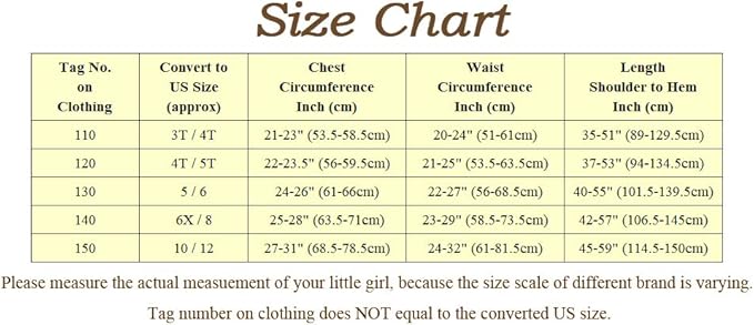 Dressy Daisy Toddler Little Girls' Ice Princess Dress Costume Birthday Halloween Christmas Fancy Party Dresses