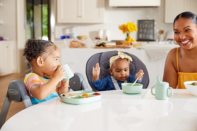 NUK Silicone Baby Suction Bowls, Suction Feature Helps Reduce Spills, Microwave & Dishwasher Safe, BPA-Free, Pack of 2