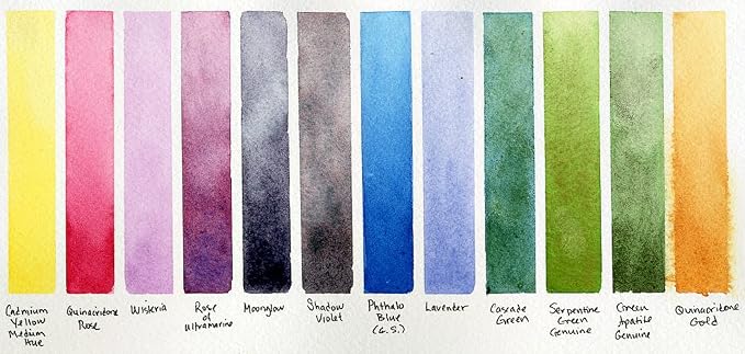 Daniel Smith 285650103 Extra Fine Inspirational Solid Watercolor Paint Set of 12 Half Pans, Metal Case and 12 Empty Containers