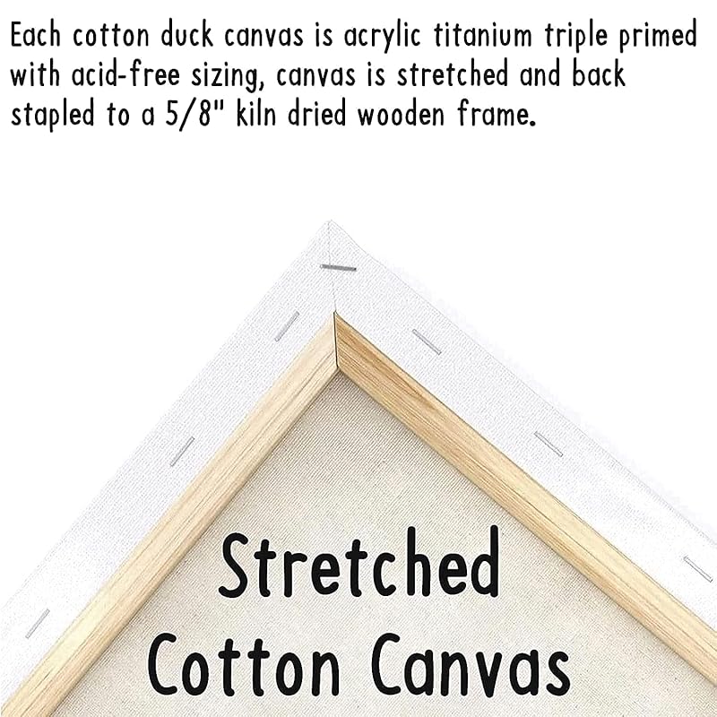 Indigo Art Studio Pre Drawn Canvas Paint Kit for Adults Kids Couples | Stenciled | Sneakers Air Jordan Retro | DIY Birthday Gift & Sip and Paint With Twist Party Favor (Sneakers #4) (8x10 Inches)