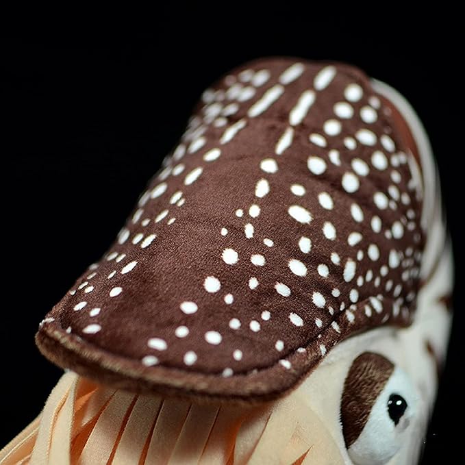 ZHONGXIN MADE Simulation Nautilus Plush Toy - Lifelike Real Life Chambered Nautilus Stuffed, Animal Toy Soft Sea Life Toys Gifts for Kids, 8 Inches