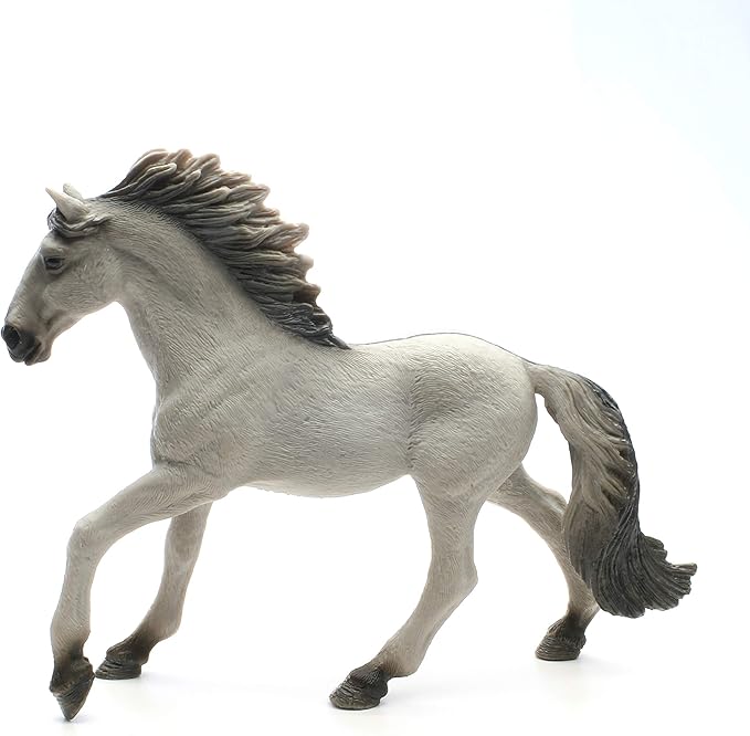 13915 - Sorraia Mustang Stallion