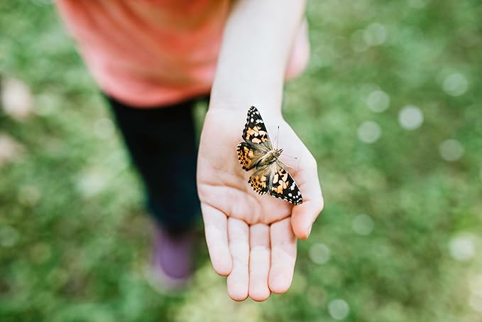 Insect Lore Butterfly Garden with Two Cups of Live Caterpillars | Original Habitat, STEM Journal, Chrysalis Holding Logs, 10 Live Baby Caterpillars | Painted Lady Butterflies | Life Science Education