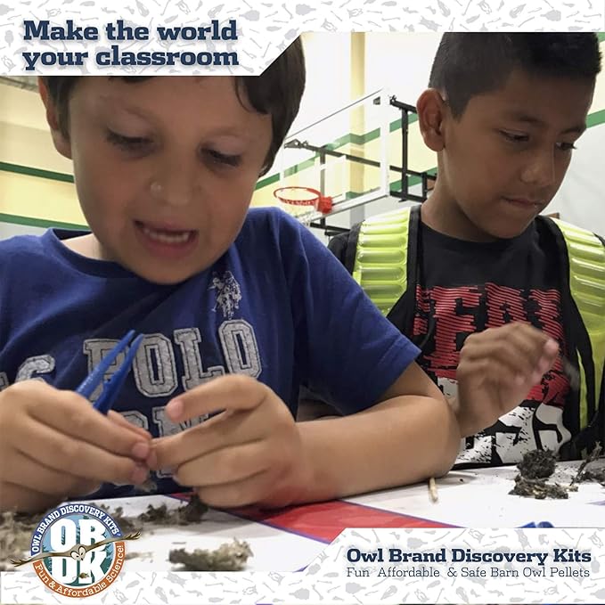 OBDK Barn Owl Pellets for Dissection - 1 Pack Jumbo Sized (2.0"-Larger) with Tools, Guide and Charts from Owl Brand Discovery Kits