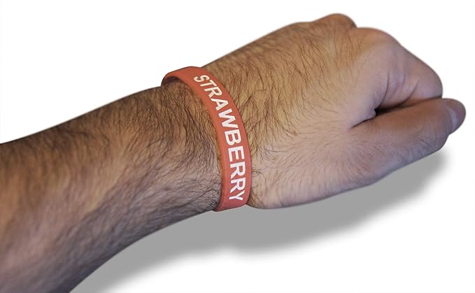Novel Merk Strawberry Red Fruit 12-Piece Party Favor & Carnival Prize Rubber Band Wristband Bracelet Accessory