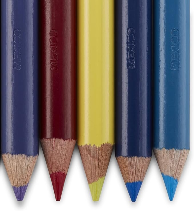 Prismacolor Scholar Colored Pencils, Adult Coloring, 24 Pack
