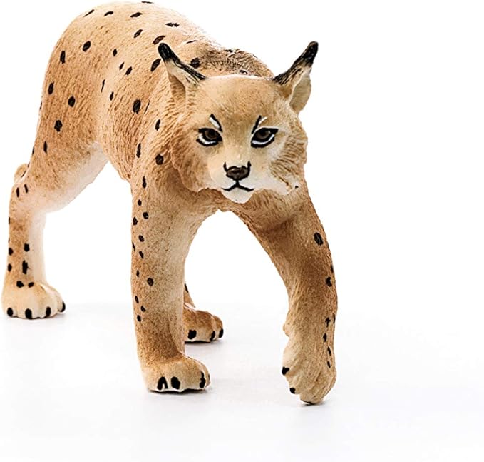 Schleich Wild Life, Realistic North American Forest Animal Toys for Kids, Lynx Toy Figurine, Ages 3+