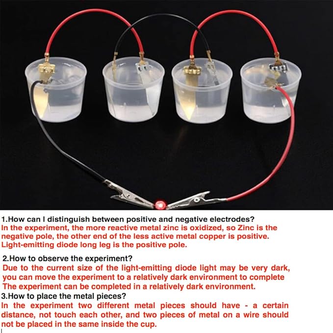 5 Sets Fruit Battery Science Experiment Kit for Home Teaching Toy, Orange Lemon Potato Battery Physics Teaching Experiment with Electronic Clock Educational Toy for Students