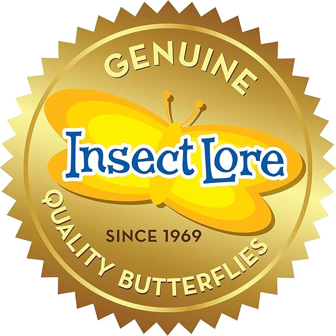 Insect Lore Two Cups of Live Caterpillars | Painted Lady Butterflies | Includes 2 Chrysalis Holding Logs | 10 Live Baby Caterpillars | Refill for Habitats and Kits