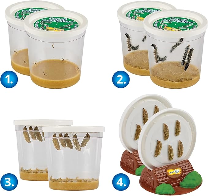 Insect Lore Two Cups of Live Caterpillars | Painted Lady Butterflies | Includes 2 Chrysalis Holding Logs | 10 Live Baby Caterpillars | Refill for Habitats and Kits
