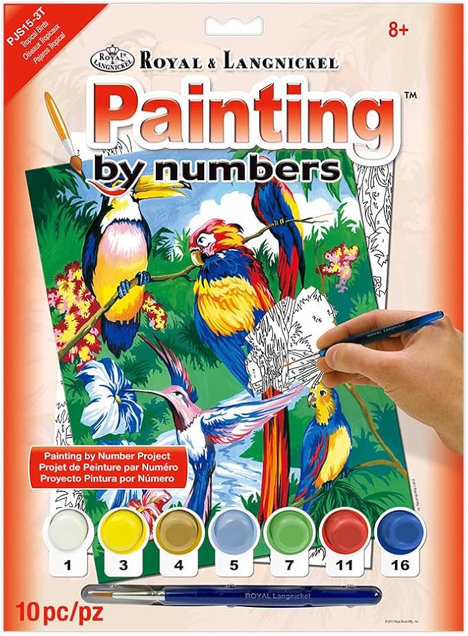 Royal Brush PJS15 9" X 12" 9"x12" Junior Small Paint by# - Tropical Birds