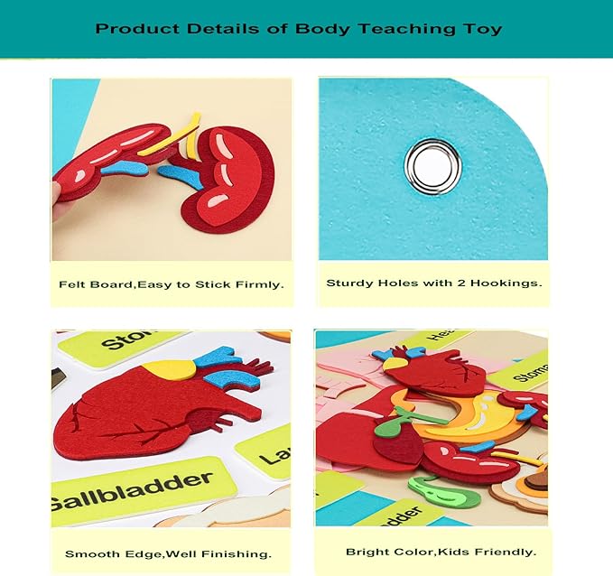 Hora de Lima Body Parts Learning Kit Felt Artcraft Human Anatomy 3D Organ Costume Cognitive Board for Kids Sensory Educational Tool Toy Removable for Home Preschool Early Childhood Teaching Aid