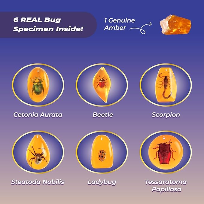 EDUMAN Amber Dig Kit - 6 Artificial Insect Resin Specimens, Bugs Fossil Excavation Set with Natural Amber, STEM Inspired Educational Toy for Kids Ages 6-12, for Boys & Girls