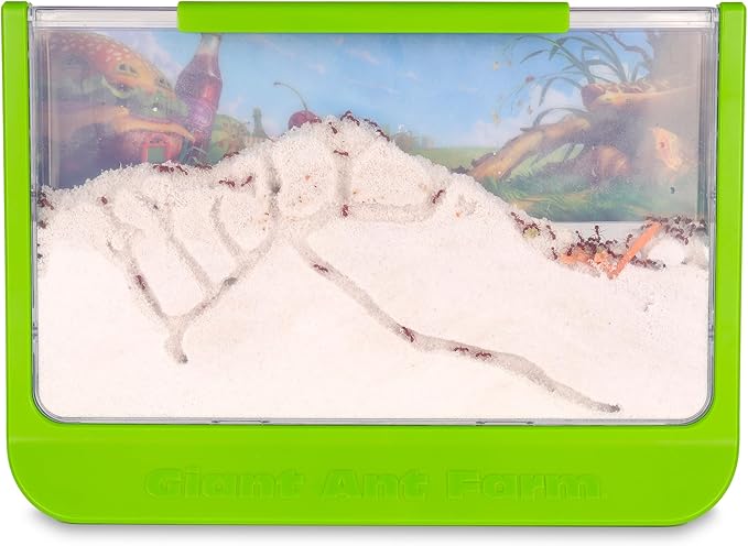 Uncle Milton Giant Ant Farm - Large Viewing Area - Care for Live Ants - Nature Learning Toy - Science DIY Toy Kit - Great Gift for Boys & Girls, Green
