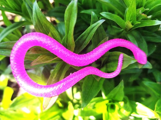 UpBrands 72 Stretchy Snakes Toys, Easter Egg Basket Stuffers, Pinata Filler, Small Classroom Prizes, Easter Egg Basket Stuffers, Pinata Filler, Small Classroom Prizes