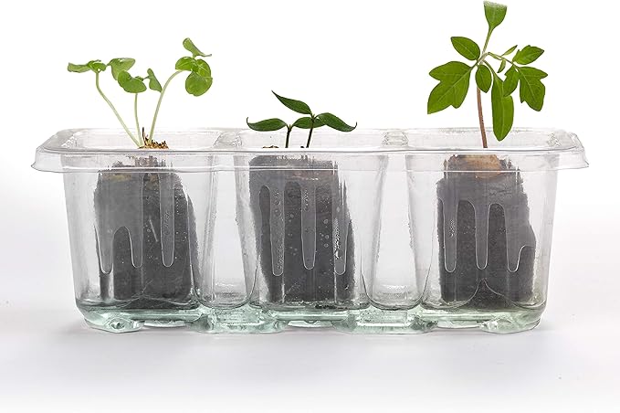 Creativity for Kids Pizza Garden Kit - Grow Your Own Pizza Vegetable and Herbs - Gardening Kit for Kids