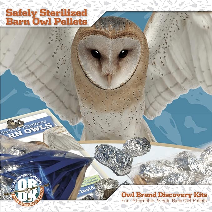 OBDK Barn Owl Pellets for Dissection - 20 Pack Medium Sized (1.5"-2.0") with Tools, Guide and Charts from Owl Brand Discovery Kits