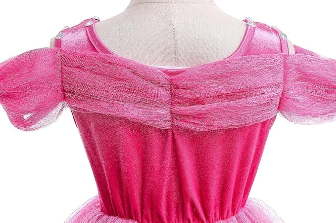 Dressy Daisy Toddler Girls' Princess Fancy Dress Up Costume with Accessories Halloween Outfit Butterfly Size 3T Hot Pink