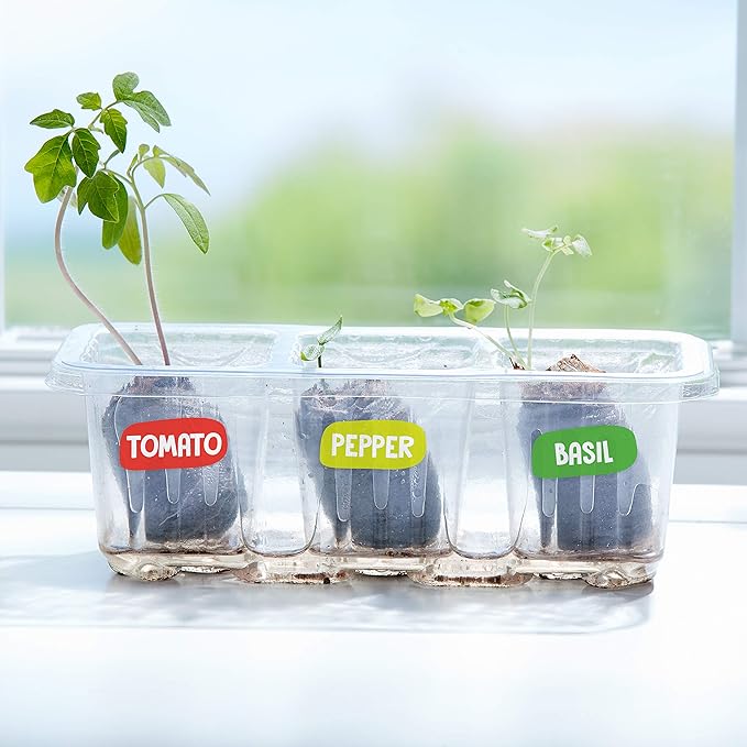 Creativity for Kids Pizza Garden Kit - Grow Your Own Pizza Vegetable and Herbs - Gardening Kit for Kids