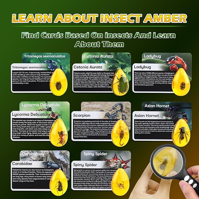 Amber Dig Kit - Insects in Resin, 8 Insects Specimens Excavation Kit, Gemstone Bugs for Kids, Fossil Bug Toys Dig Kits for Bugs Collection, Insect Toys for Boys Girls 6 and up Year Old Birthday Gifts