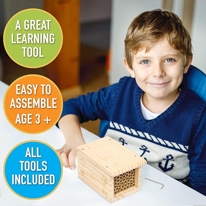 Rivajam Build a Bee House DIY Woodworking Project | Solitary Mason Bee House Nesting Box Wood Building Kit & Tools | Garden Arts & Crafts Activities for Toddler Boys & Girls Kids Teens Adults & Family