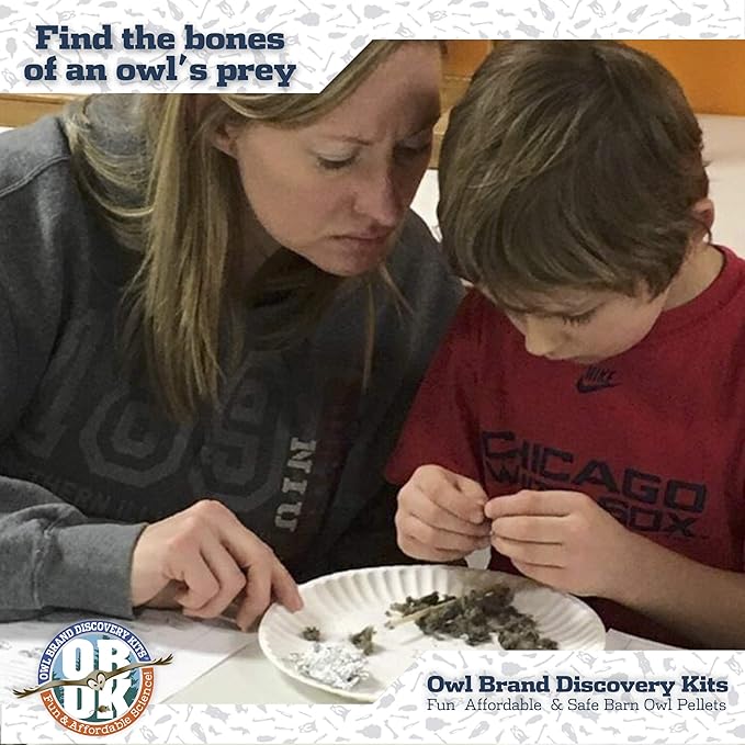 OBDK Barn Owl Pellets for Dissection - 10 Pack Medium Sized (1.5"-2.0") with Tools, Guide and Charts from Owl Brand Discovery Kits