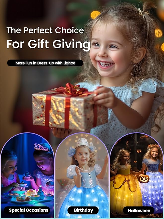 Princess Costumes for Girls, Princess Dress, Costume for Girls, Light Up Toddler Princess Halloween Costumes for Girls, Toddler Princess Costume, 110