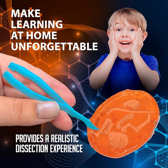 Top Secret Toys Discover-It Dissection Kit for Kids, Owl Pellet Science Lab Kit to Learn About Animals, Science Toys for Kids Ages 5 and Above