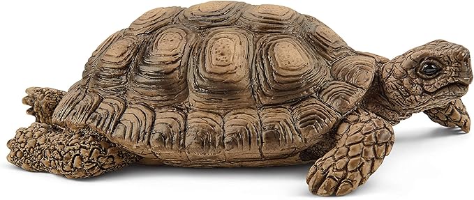 Schleich Wild Life 6-Piece Tortoise Toy Figure with Hatchlings and Turtle Home Playset for Kids Ages 3-8, Brown