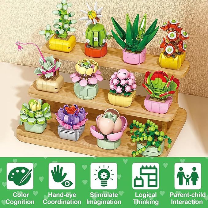 Valentines Day Gifts for Kids 6-12, 24 Pack Succulents Plants Building Blocks with Gift Cards for School Classroom, Bulk Boy Girl Class Valentine Party Favors Exchange Gift Goodie Bag Stuffers