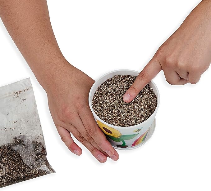 Creativity for Kids Sunflower Garden - Sunflower Growing Kit - Garden Set for Girls and Boys